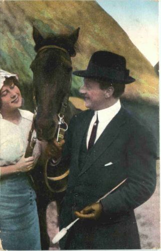 Pferd