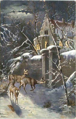 Rehe