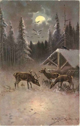 Rehe