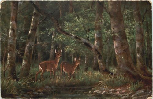 Rehe