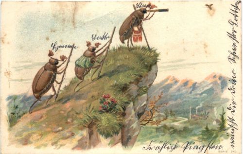 Maikäfer