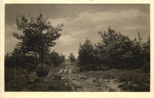 Heideweg bei Gütersloh