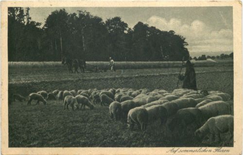 Schäfer - Bahnpost Hagen - Dieringhausen