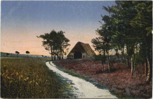 Heidelandschaft - gelaufen Oerlinghausen