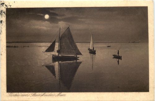 Partie am Steinhuder Meer