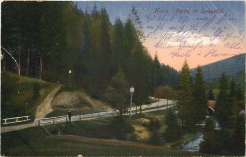 Harz - Partie im Spiegeltal