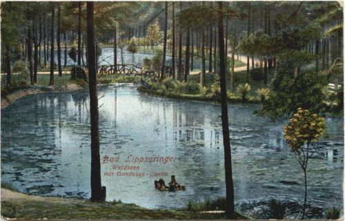Bad Lippspringe - Waldseen mit Gondesen Quelle