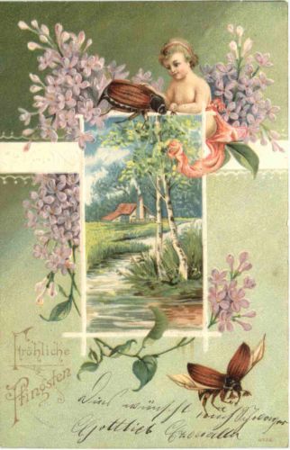 Pfingsten - Maikäfer - Prägekarte