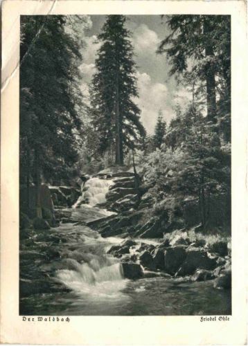 Künstler Ak Friedel Ohle