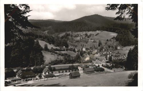 Schönmünzach - Murgtal - Baiersbronn