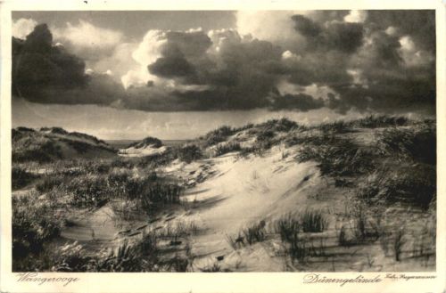 Wangerooge - Dünengelände