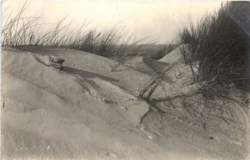 Langeoog