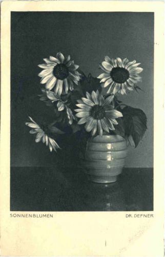Künstler Ak Dr. Defner - Sonnenblumen