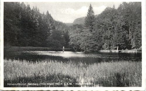 Gehlberg - Hungertalteich