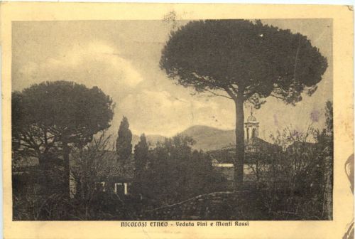 Nicolosi Etneo - Veduta Pini e Monti Rossi