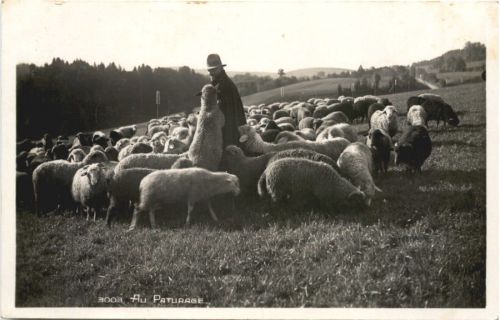 Schäfer - Au Paturage