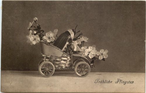 Pfingsten - Maikäfer im Auto