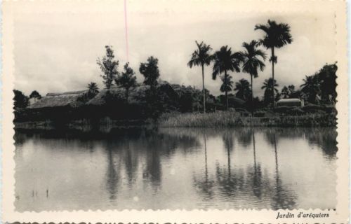 Vietnam - Jardin d arequiers