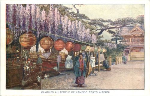 Tokyo Glycines au Temple de Kameidso