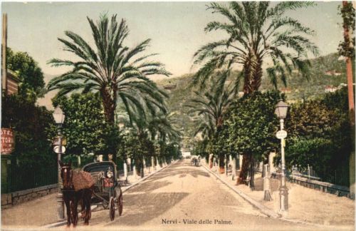 Nervi - Viale delle Palme