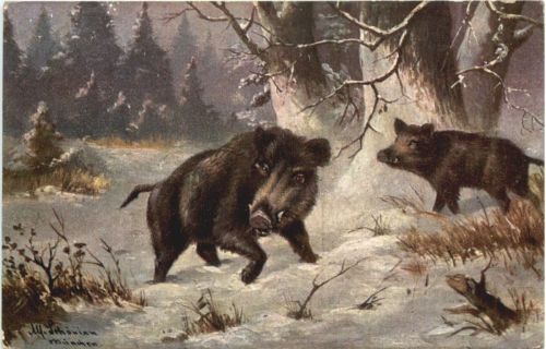 Wildschwein