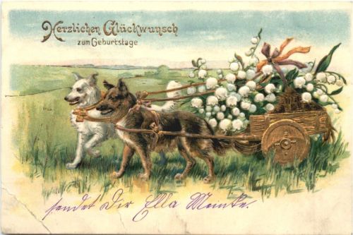Geburtstag - Hunde - Prägekarte