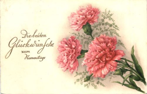 Namenstag - Nelken