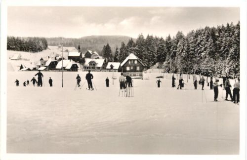 Kniebis - Skiwiese