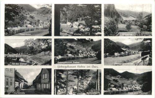 Sieber im Harz