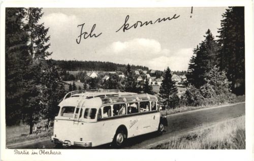 Partie im Oberharz - Bus