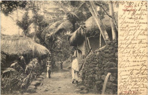 Ceylon - Native huts