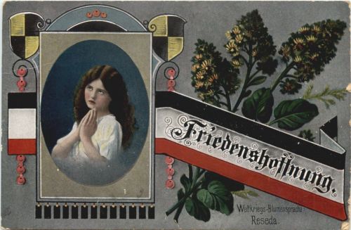 WW1 - Friedenshoffnung