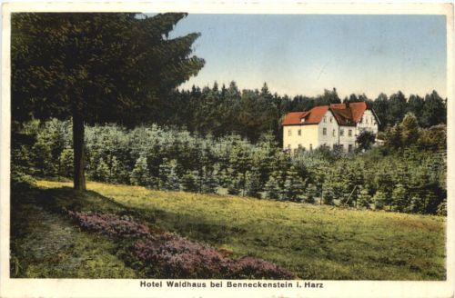 Hotel Waldhaus bei Benneckenstein