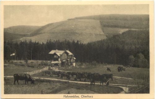 Hahnenklee - Oberharz