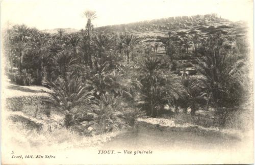 Tiout
