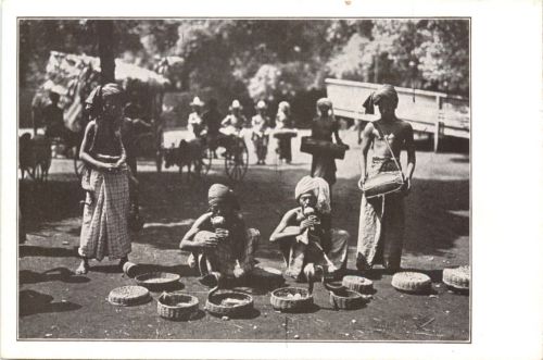 Ceylon - Singhalesische Schlangenbeschwörer