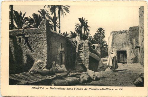 Biskra - Habitations das l Oasis