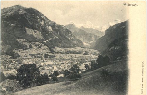 Wilderswyl
