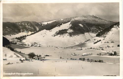 Bernauerhof-Herzogenhorn, Bernau