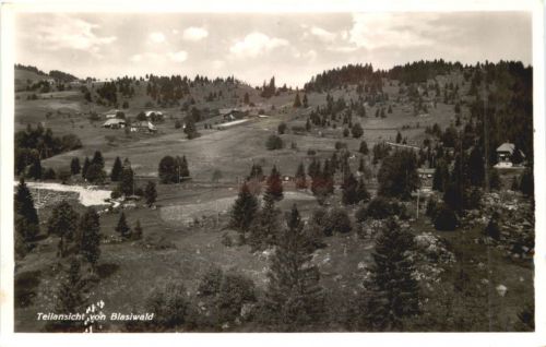 Teilansicht von Blasiwald