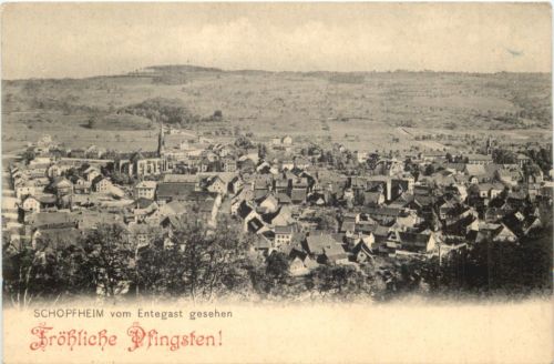 Schopfheim vom Entegast gesehen
