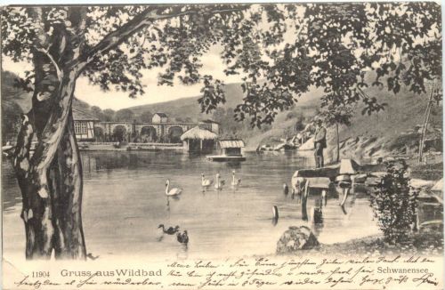 Gruss aus Wildbad Schwanensee