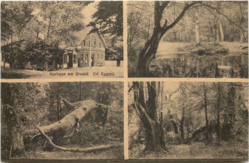 Kurhaus am Urwald - Zetel