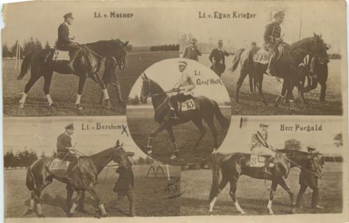 Reitsport