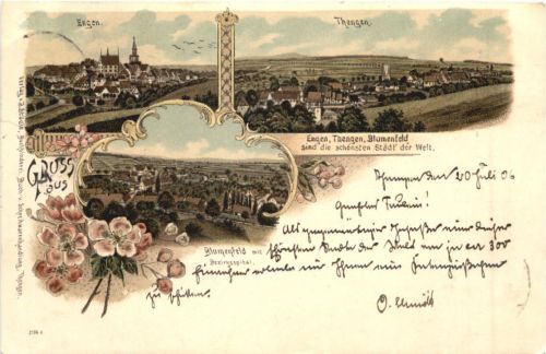 Gruss aus Engen Thengen Blumenfeld - Litho