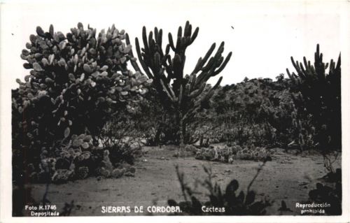 Argentina - Sierras de Cordoba