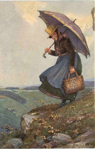 Künstler Ak Fr. Reiss - Schwarzwädler Leben