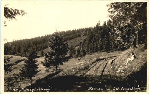 Nassau im Ost Erzgebirge - Am Mäusebachweg - Frauenstein