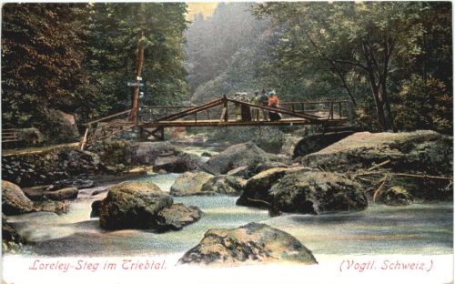 Loreley-Steg im Triebtal