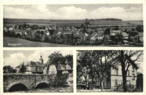 Eubigheim - Ahorn